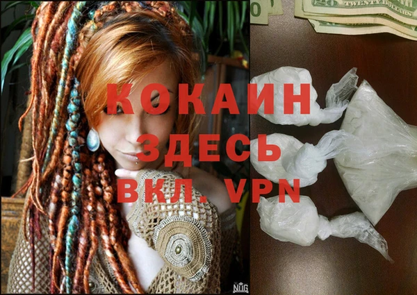 дурь Вяземский