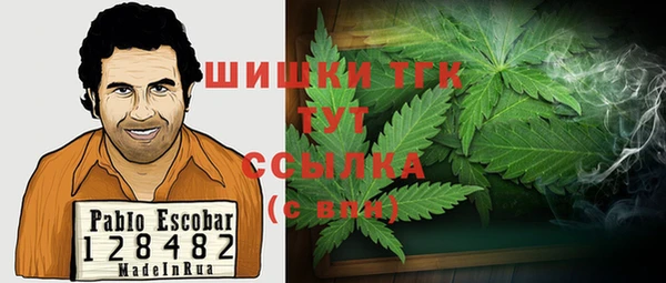 МДМА Горняк