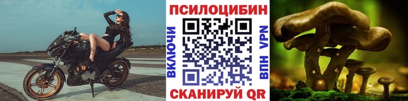 Псилоцибиновые грибы мицелий Дальнереченск