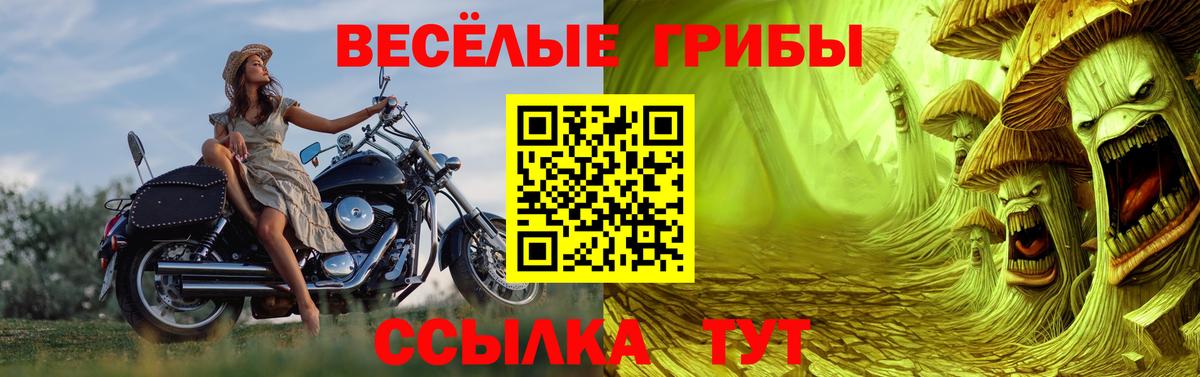 Псилоцибиновые грибы Psilocybe  Галлюциногенные грибы Psilocybe  Вход с VPN  Дальнереченск 