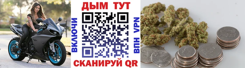 Канабис план Дальнереченск